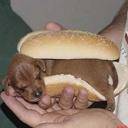 � hameboregere � par mbk_hamza